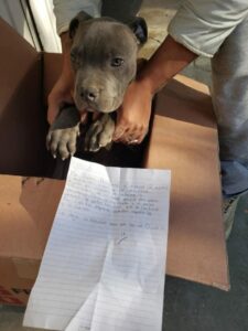 boy-leaves-pet-outside-shelter-scaled-1