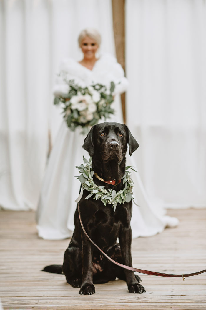 bride-first-look-dog-kristen-dupree-farlow-photography-5de0c6921c833__700