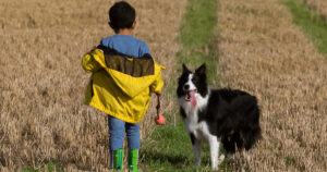 FTRboy-and-dog-in-field-4560039