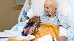 https___cdn.cnn_.com_cnnnext_dam_assets_191021124420-05-veteran-reunited-with-dog