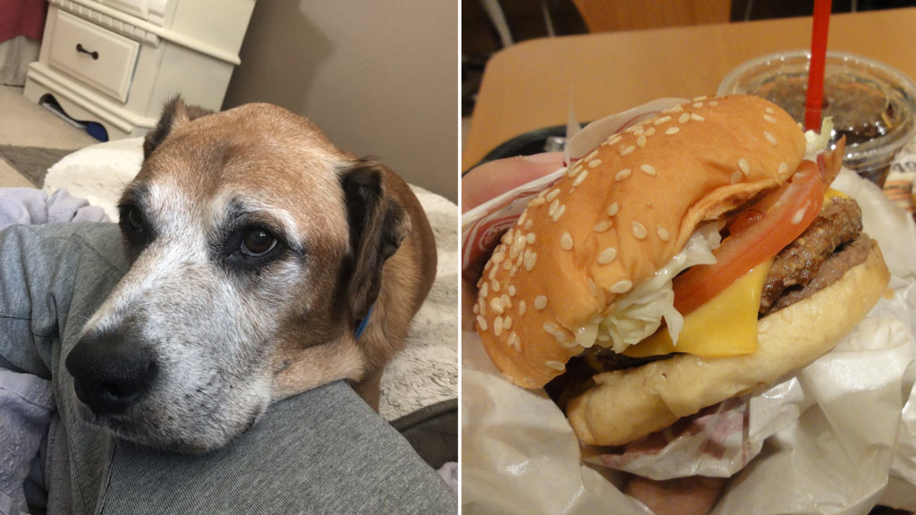 1531928878517-doggo-burger-1024x576-1024x576-1