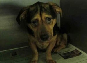 2cd28a7317f13845d96aa4cabe4cdd50