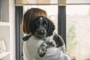 65828631_5e71374ed88657b35a2c5382e17a79f0_wm