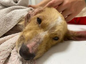 840b1a1a21074d54a3835a53bca98956-1024x768-1