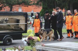 9bb04312e8c148c7a4b8f7f98b45b727