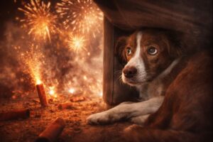 ChatGPT-Image-2025.-dec.-24.-14_35_34