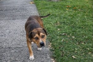 ChatGPT-Image-2025.-dec.-25.-20_55_03