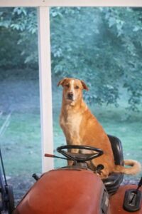 ChatGPT-Image-2025.-dec.-26.-16_00_19-683x1024-1