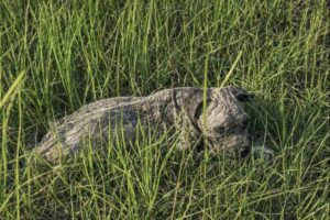 ChatGPT-Image-2025.-dec.-26.-16_45_20