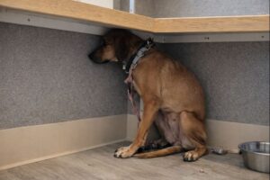 ChatGPT-Image-2025.-dec.-26.-16_52_18