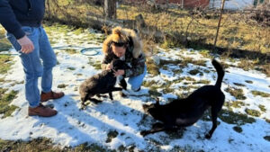 kep_javitott_2x-1024x577-1