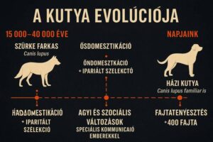 rsz_1chatgpt_image_2025_maj_11_14_20_16