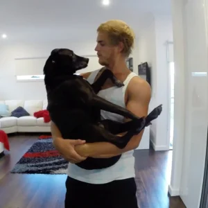 scale-11-1024x1024-1