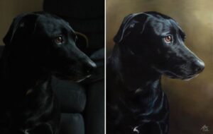 1000_elkepeszto-kepeket-fest-az-allatokrol-2891