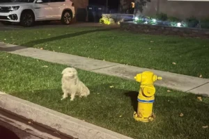 287632418_3908775136013432_1377716524084465064_n