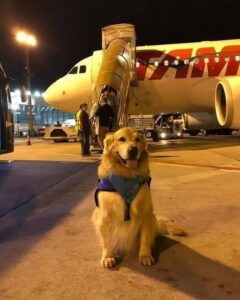 497131919_1411245556548629_7906041763316952000_n