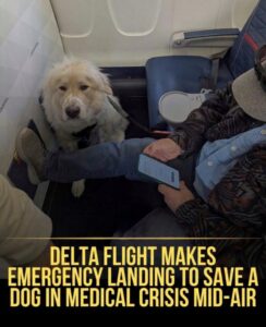 514281515_122275192136008819_6248328538827006459_n-833x1024-1