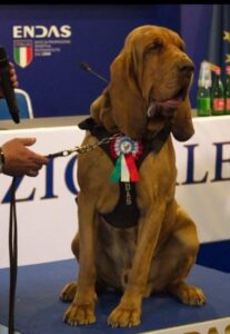 515386507_1801240034157017_4737269397722070760_n-706x1024-2