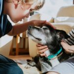 Mire gondol a kutyád, amikor simogatod? A tudomány szerint megható válasza van