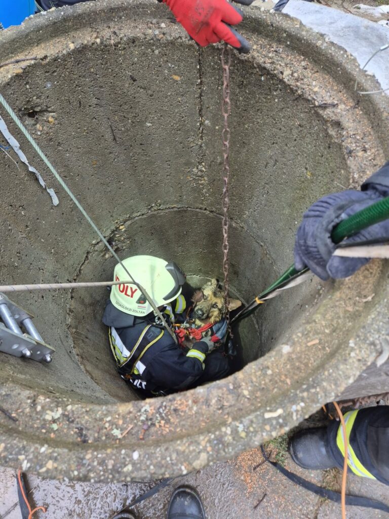 624763810 1237170578512454 6156887880968815635 n