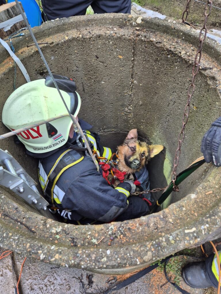 627041651 1237170581845787 8258861688837629730 n