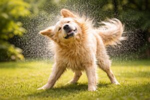 ChatGPT-Image-2026.-febr.-25.-16_55_09-1024x683-1