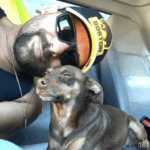 Nyolc év után csörgött a telefon – és egy elveszett kutya hazatért