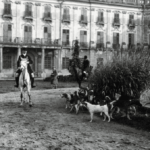 Ugatott, védett, szeretett – a magyar kutyák története egy évszázad távlatából