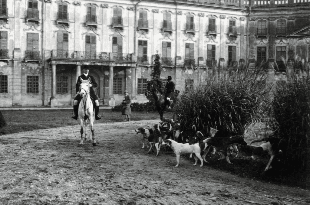 Ugatott, védett, szeretett – a magyar kutyák története egy évszázad távlatából 306 aHR0cHM6Ly9jbXNjZG4uYXBwLmNvbnRlbnQucHJpdmF0ZS9jb250ZW50L2E3MjMzMTk0MzFhZDQ3NzNhZmMwMzNjZDVlMTEzOTcz