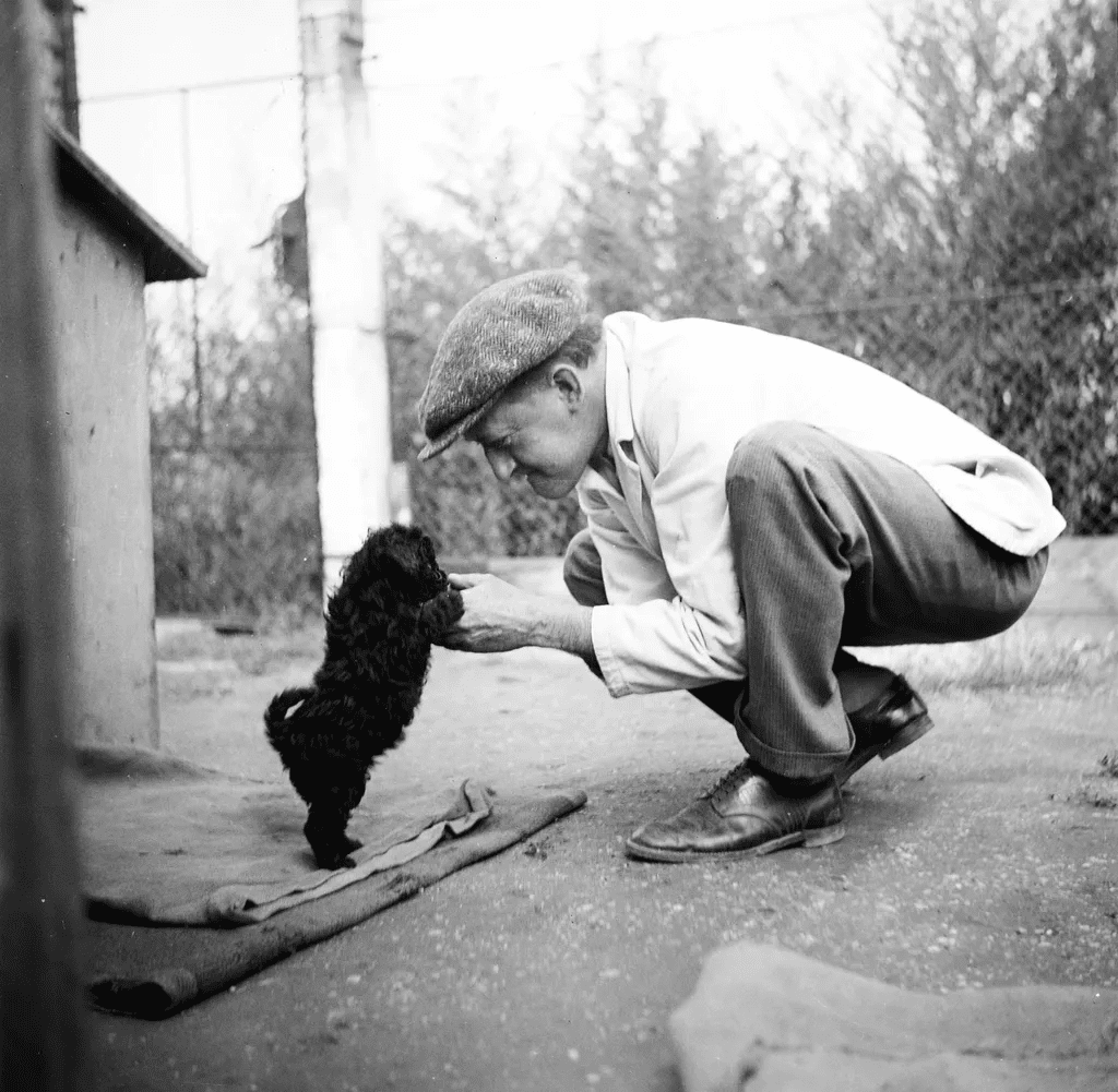 Ugatott, védett, szeretett – a magyar kutyák története egy évszázad távlatából 318 aHR0cHM6Ly9jbXNjZG4uYXBwLmNvbnRlbnQucHJpdmF0ZS9jb250ZW50LzRjMDQ0NWYwMzdkYTQ5MzlhNzliNWI2YmQ1MTQzYmE0