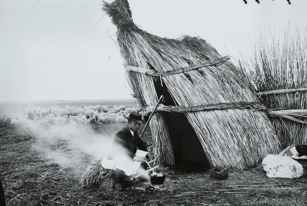 Ugatott, védett, szeretett – a magyar kutyák története egy évszázad távlatából 320