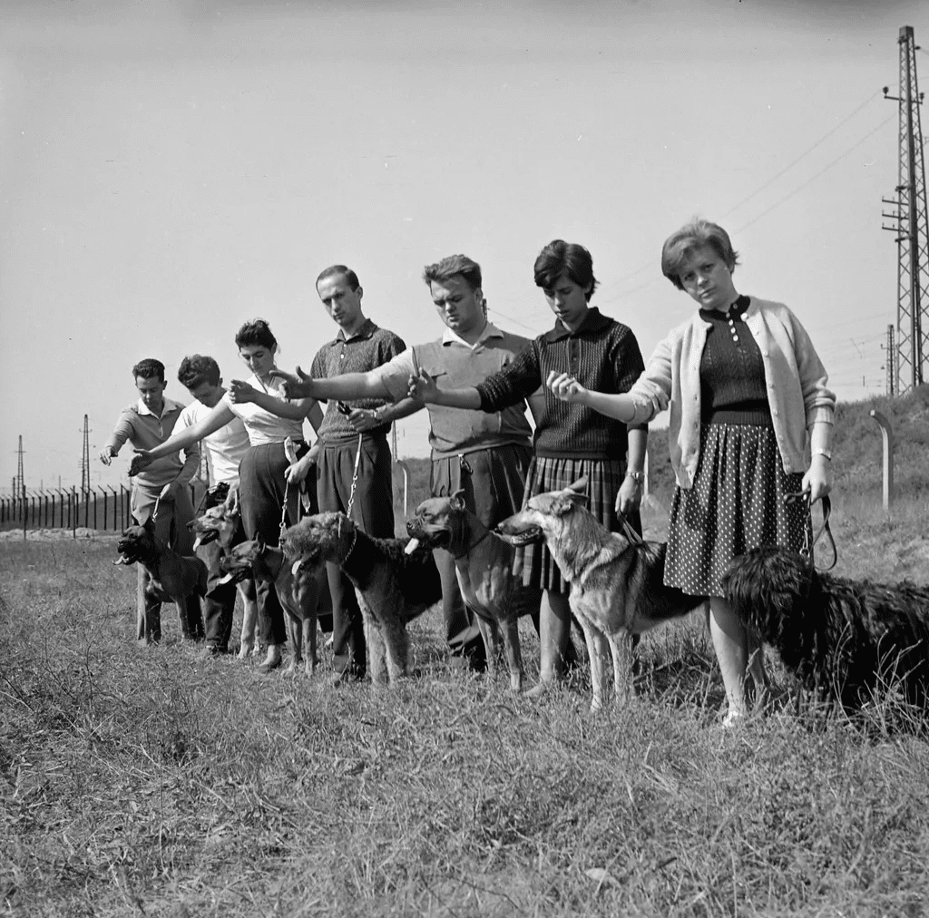 Ugatott, védett, szeretett – a magyar kutyák története egy évszázad távlatából 322 aHR0cHM6Ly9jbXNjZG4uYXBwLmNvbnRlbnQucHJpdmF0ZS9jb250ZW50LzYwMWQyMGEwMDM1NzRjYTc4YTM1NGY3OTdkODIyMmFj