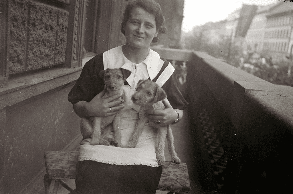 Ugatott, védett, szeretett – a magyar kutyák története egy évszázad távlatából 312 aHR0cHM6Ly9jbXNjZG4uYXBwLmNvbnRlbnQucHJpdmF0ZS9jb250ZW50Lzc2ZmM4M2JjNmY5NjQ0NWM4YjNiNjY1ZDAzMzA2ODk4