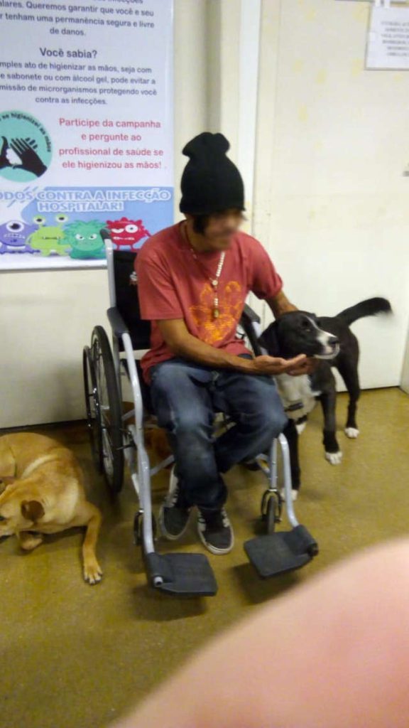 az apolok azt vettek eszre hogy a korhaz ajtaja elott tobb kutya varakozik ekkor meg nem gondoltak hogy egy betegukre varnak01 576x1024 1