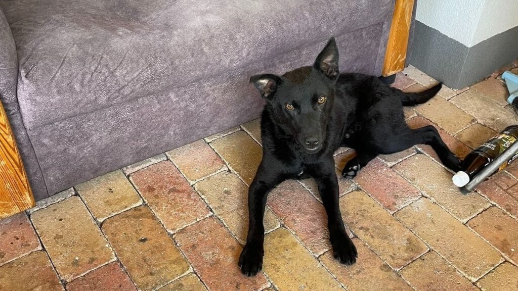 b563952ac9c34cad9d0921acfcaca129-1024x576-1