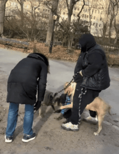 higher-res-upper-west-side-104028953