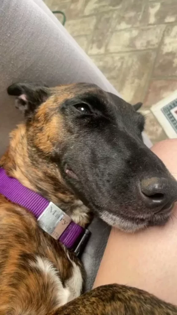 Mary csak vendég volt – de belopta magát a szívükbe 20 scale 1 22