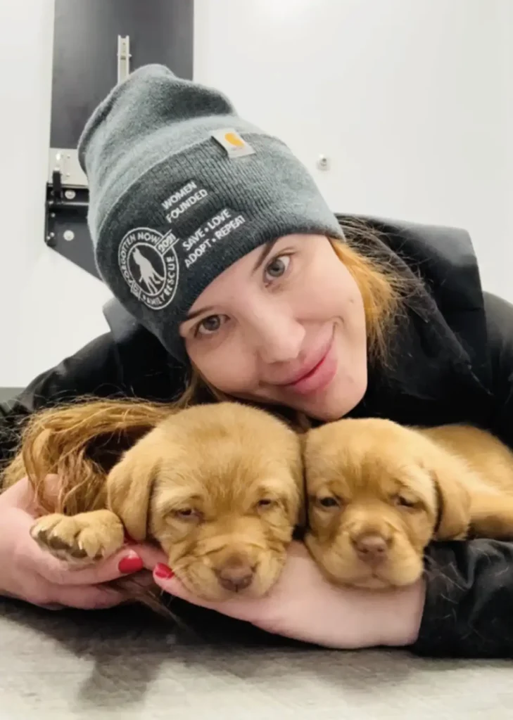 A tenyésztő kidobta a két aranyos kölyköt, mert nem tudtak járni – ma már futva rohangálnak 8 scale 2 13