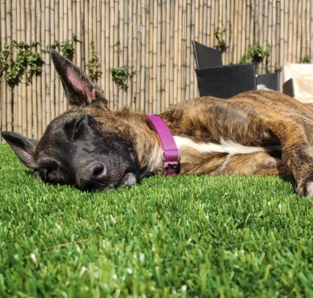 Mary csak vendég volt – de belopta magát a szívükbe 22 scale 3 16