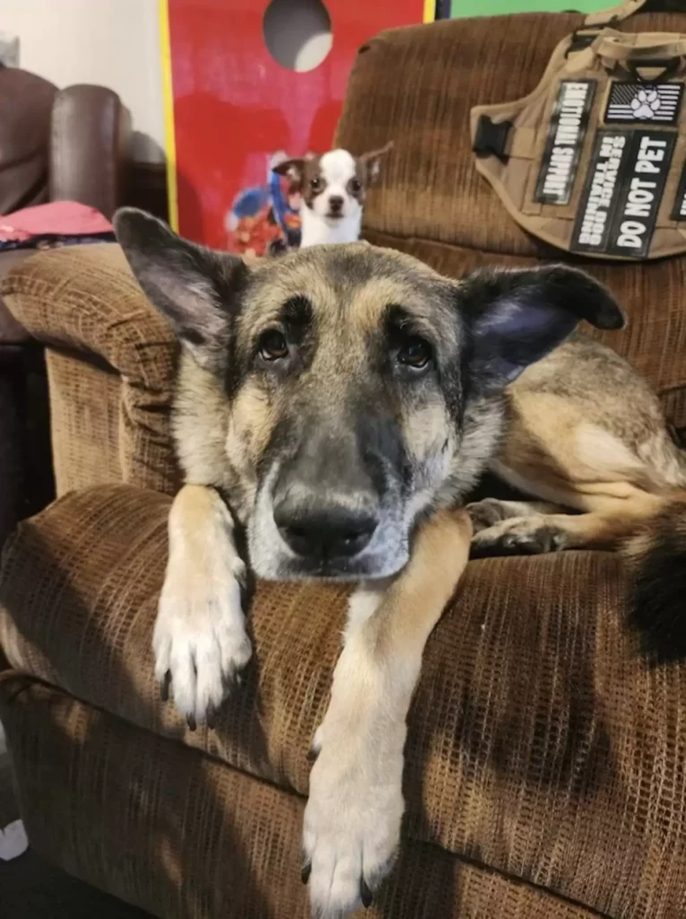 Két test, egy lélek – Bella és Tinkerbell története 73 scale 4 11