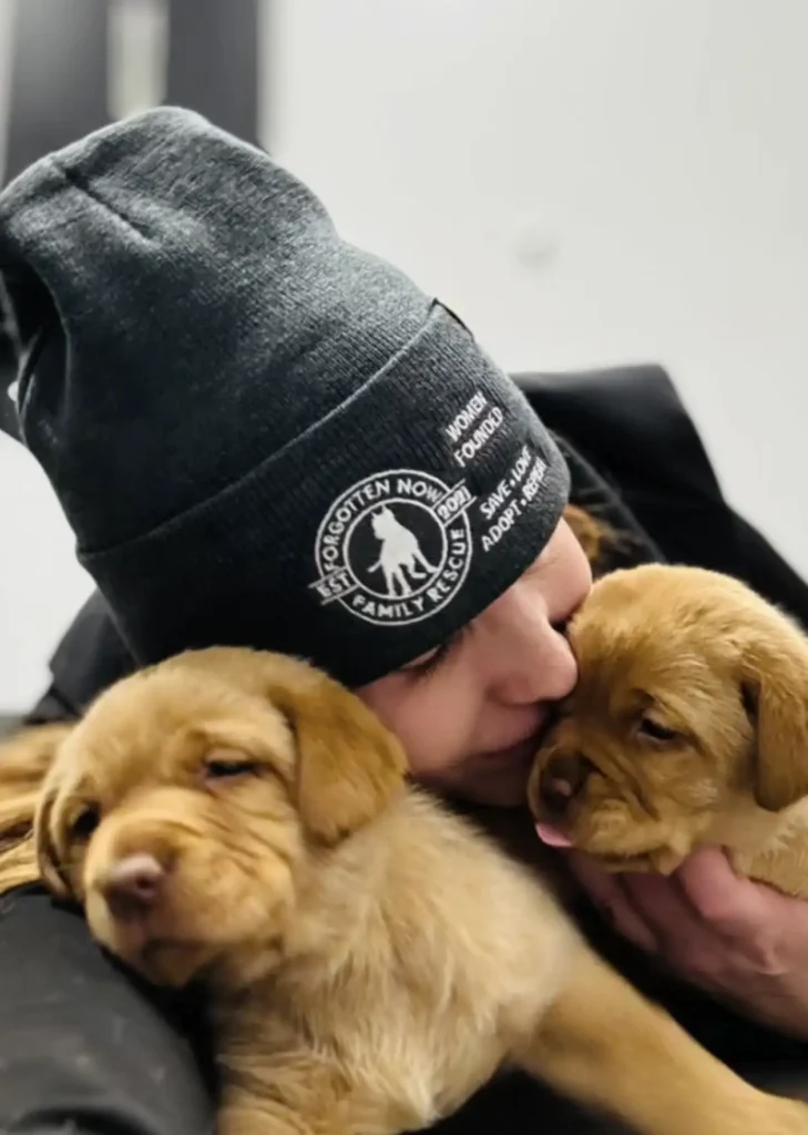 A tenyésztő kidobta a két aranyos kölyköt, mert nem tudtak járni – ma már futva rohangálnak 10 scale 4 7