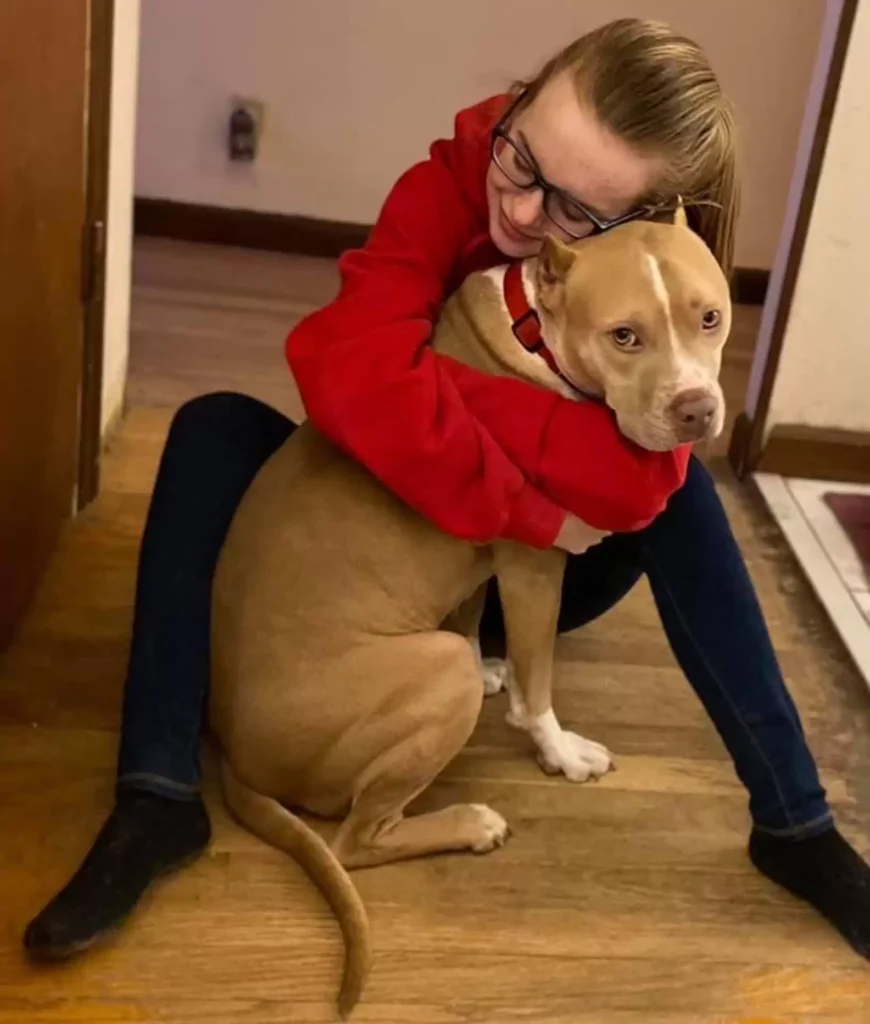 A kutya, akinek nem is látszott az arca – de annál nagyobb volt a szíve 13 scale 5 3