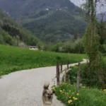 Egy túrán vette észre, hogy követik – és nem sejtette, hogy ettől megváltozik az élete