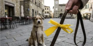 screenshot_2026-02-15_190056