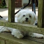 Táplálás alapok: amit kevesen mondanak el