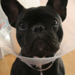 Táplálás alapok: amit kevesen mondanak el