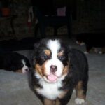 Egészségmegőrzés: útmutató