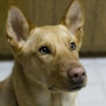 Mentális lefárasztás: amit kevesen mondanak el