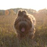 Táplálás alapok: kezdőknek és haladóknak