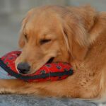 Mentális lefárasztás: kezdőknek és haladóknak